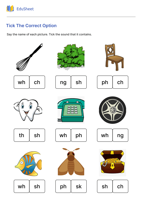 Tick The Correct Option Part 2 Tick The Correct Option Part 2