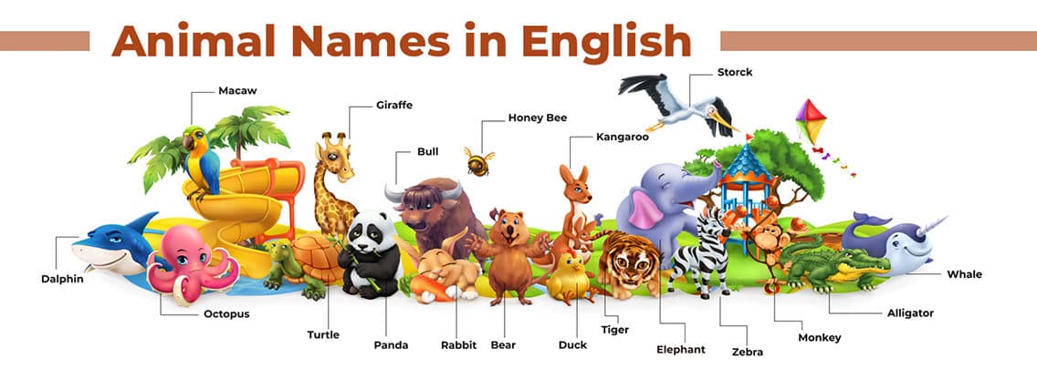 Animal Names in English animal names