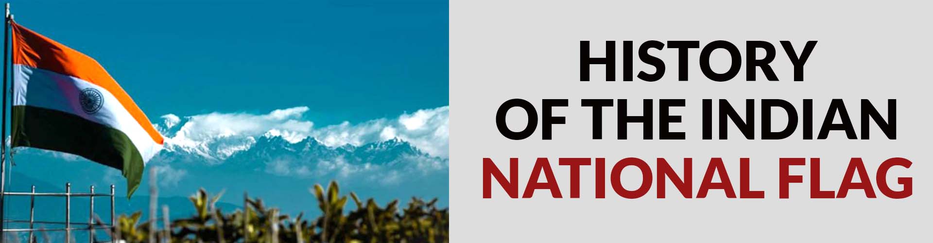 History of the Indian National Flag National flag