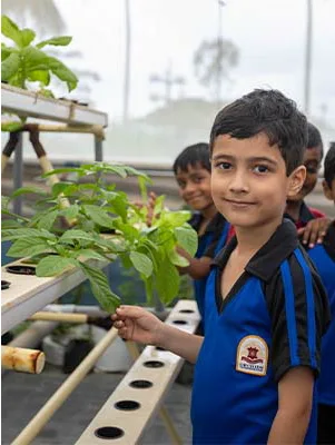 Horticulture